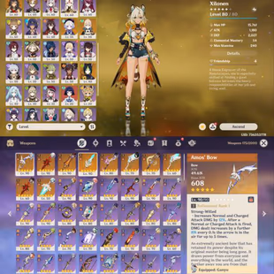 All Platform - EU - AR60 - 62 Character 21 5'Star - 10 Weapon 5'Star - Arlecchino - Xilonen - Raiden Shogun - Ganyu - Zh - Image 5