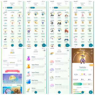 P 2.105 Level 70 Volcanion GmaxCharizard Gigalith Kruyem Raikou Entei Metagros  34 Shiny And Legendary 460 Shiny 409 Leg - Image 6