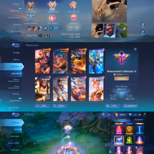 Renowned Collector3 259 Skins Max Emblems iOS Android Playable - Image 1