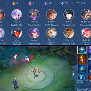 Exalted Collector 5 | 307 Skins | Max Emblems |iOS & Android Playable - Image 2