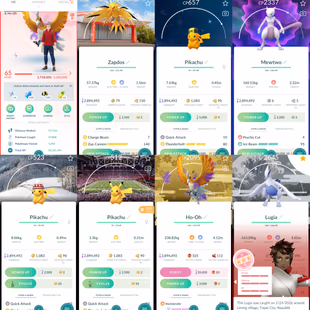 Level 65 | Shiny Background Zapdos | 157 Shiny | 114 Legendary | Hundo Lugia Background | Shiny Ho-Oh Backgound   - Image 1