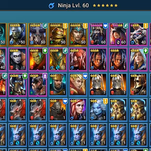 LV43 - Power 1.22M - 2 Champions LV 60 - 8 Legend  - Image 3