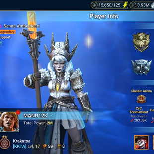 LV55-  Power 2M - 6  Champions LV 60 -  24 Legend -  4 Void - Image 3