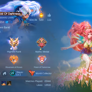 SOLID HYPER MM MAGE ACCC || 9 LEG 25 GRAND 32 EXQUISITE || WORLD COLLECTOR || EX 107 STAR || RARE BOARDER || RARE RECALL - Image 8