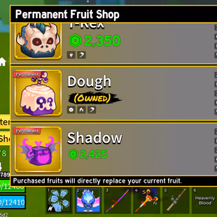 Lvl 2484 Blox Fruits Acc | 7 PERMS Leopard  Dough  Portal  Spirit  Buddha Magma | DRAGON TOKEN | Dark Blade  Shark An - Image 8