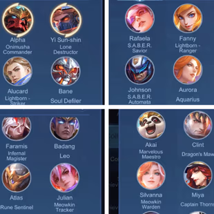 Exalted Collector 5 | 317 Skins | Max Emblems | iOS & Android Playable - Image 4