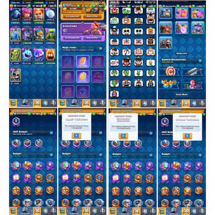 🔥LV 55 - 12 EVO🔥 | KT 15 | ARENA 25 | TROPHIES 10K | EMOTE 85 | 6 CARD LV 15 | 23 CARD LV 14 | 3X LEG BADGE | 2 RULERS - Image 6