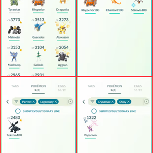 🎯2 RARE TRADEABLE SHINY BG ZAMAZENTA - SHINY MEWTWO | 100IV ZEKROM | 48 SHINY | 57 LEGENDARY ) NAME CHANGE Avl - Image 5