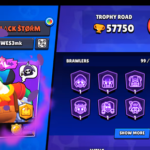 BEST DEAL | 58K TROPHY - 300X SKINS | 100/99 BRAWLER | 63X MAX | 41X HYPER | 118-GEMS - Image 4