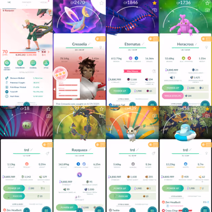 1934 Level 70 Eternatus Shiny Mega Rayquaza Shiny Mega Metagross Shiny Mega: Gyarados, Heracross, Kangaskhan, Absol - Image 1