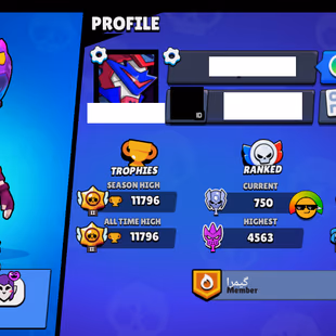 141 [9 MAX BRAWLS] [97 SKINS] [11796 TROPHIES] - Image 3