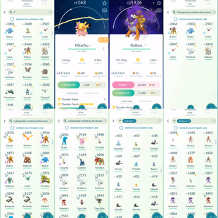 2065 Level 70 Legacy 46. Shiny Mega Rayquaza Shiny Mega Latios Shiny Mega Metagross Shiny Galarian Zapdos - Image 4