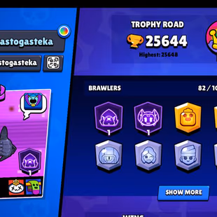25k Trophies, 82 Brawlers, 13 Legendary Brawlers, 17 11 Strength Brawlers, 10 hypercharge, 147 Skins, Description - Image 3