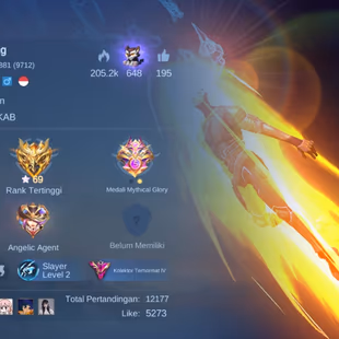 M314|LVL116|131HEROES|359SKIN|EXALTEDCOLLECTORIV|2LEGEND|FANNYASPIRANTS|GUSION11.11|LUKASNARUTO|CLAUDEPRIME|LEGENDIIIS39 - Image 2