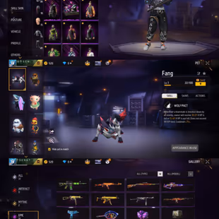 iOS Android - Server NA (USA) - Level 29 - Rank Bronze - Set 76 - Emote 8 - Pet 14 - Weapon 37 - Mythic 2 - Epic 12 - Co - Image 6