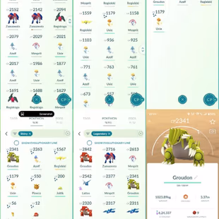 4 SHINY LEG [] GROUDON ZAMZENTA [] 51 LEGENDARY [] LEVEL 50 [] 8 SHINY [] RENAME AVAILABLE [] INSTANT AVAILABLE [] CHEAP - Image 5