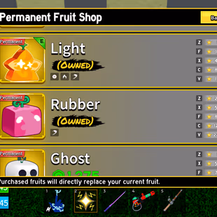Blox Fruits Account | Lv.1054 | 14 PERMANENT FRUITS (Buddha, Light, Ice, Dark, Gravity & More) | Dark Blade | Rabbit Rac - Image 7