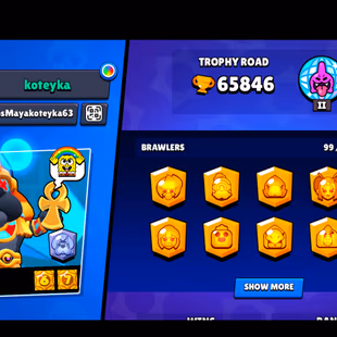 KING LOU | FREE CHANGE NAME | 11.11 PIN | 340 SKINS | 65.800 TROPHY | 99 BRAWLERS | 35 HYPERCHARGED | 58 MAXED BRAWLERS - Image 5