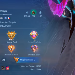 RARE EXP HYPER MAGE ACC || 3 LEG 11 GRAND 22 EXQUISITE || ALMOST MEGA 4 || EX GLORY || EPIC RECALL || 1200 SF BEST DEAL - Image 6