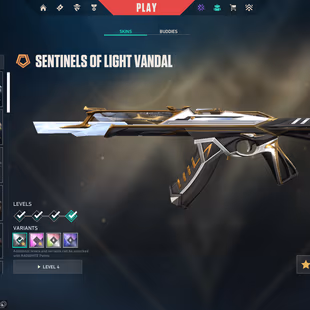 NA | 50 Skins | 2 Knives | Recon Balisong | Sentinels light / Prelude to Chaos / Gaia's Vandal | BlastX / Nebula Phantom - Image 4