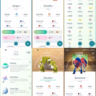 3 SHINY LEGENDARY💎 ZAMZENTA GROUDON 🔥 51 LEGENDARY [] LEVEL 52 [] 17 SHINY [] RENAME AVAILABLE [] INSTANT AVAILABLE [] - Image 4