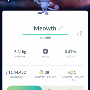 SHINY MEOWTH [] SHINY LEGENDARY KYUREM [] LEVEL 50 [] LEGENDARY 4 [] SHINY 12 [] POKEMON 34 [] RENAME AVAILABLE  - Image 6
