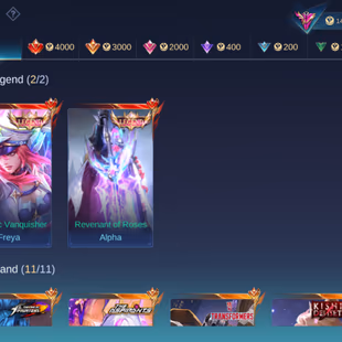 PREMIUM HYPER BASED ACC || EXALTED 1 || 2 LEGEND || 11 GRAND || 8 EXQUISITE || SKINS 440 - Image 4