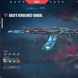 🌍EU | 8 Skins | RGX 11z Pro Phantom | Gaia's Vengeance Vandal | 4.8K VP Spent | Unranked | Instant - Image 2