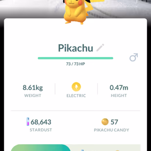 0P CHEAPEST LEVEL 20 [] LEGENDARY 13 [] SHINU 12 []LEVEL 1 SHINY EVENT PIKACHU [] LOCATION BG PIKACHU [] LEGENDARY 13 [] - Image 7