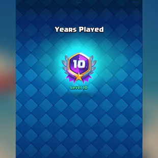 Super Rare 🔴 10 Year Old Badge 🔴 Free Name Change  - Image 1