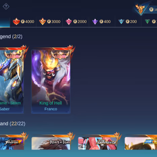 PREMIUM MEGA IV ACCOUNT || 2 LEGEND || 22 GRAND || 16 EXQUISITE || SKINS 396 - Image 6