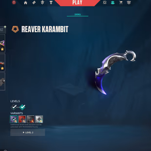 EU 70 skins | Reaver Karambit | Neo Frontier Axe | VCT x SEN Classic | Spectrum Phantom | Prelude to Chaos Vandal | Sing - Image 2