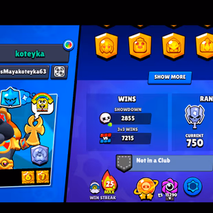 KING LOU | FREE CHANGE NAME | 11.11 PIN | 340 SKINS | 65.800 TROPHY | 99 BRAWLERS | 35 HYPERCHARGED | 58 MAXED BRAWLERS - Image 7