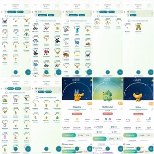 ULTRA RARE GALAR BIRDS  SHUNDO STACK I SHINY LUCARIO HAT PIKACHU TRADABLE RARE I 891 SHINY I 357 LEGENDARY I 97 SHUN - Image 5