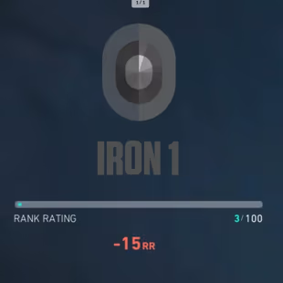 Iron 1 0 Skins | Full Access | Name & Email Changeable - Image 1