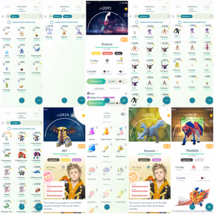 MAX SHINY MEWTWO 😍 LEVEL 55 🔥 8 SHINY LEGENDARY | 91 LEGENDARY | 62 SHINY | ZACIAN | ZAMAZENTA | GROUDON  - Image 4