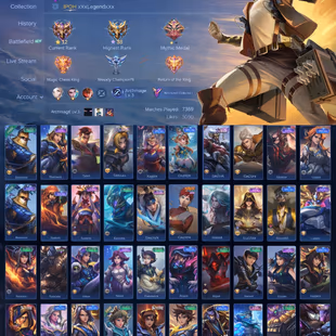 [Renowned Collector 1] 325 Skins | Attack on Titan | Transformers | Kung Fu Panda | Rare Effects | Max Emblems | Eren - Image 6