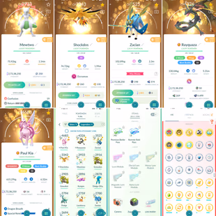 RAREST🔥SHINY LONDON BG RAYQUAZA 💎 Strong Pokemon Eternatus [] 735 LEGENDARY [] 805 SHINY [] 86x Shiny leg [] level 72 - Image 2