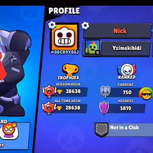 B55 & 28k Trophy | 16 Brawler Max | Lot of Skin | Full Access | - Image 1