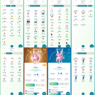 Level 77+ -22 legend iv100-27 pass-12257 Coins-Shundo Dialga-Hundo Groudon Shadow-165m+ Stardust-587 legend-865 shiny-59 - Image 5