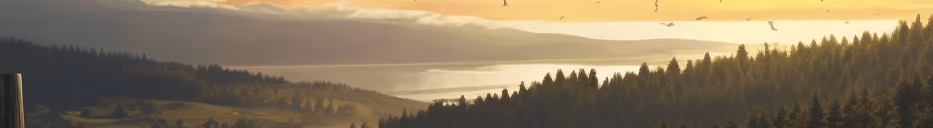 Buy DayZ Steam Accounts - Cheapest Way to Get DayZ and More