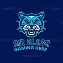 MR CLASH