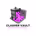 Clasher Vault