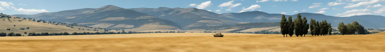 Buy Arma 3 Steam Accounts - Trusted Arma 3 Marketplace
