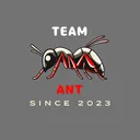 Ant team