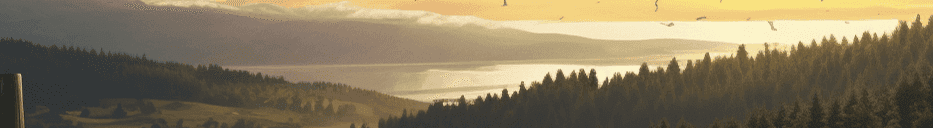 شراء حسابات DayZ Steam على Steam - أرخص طريقة للحصول على DayZ والمزيد