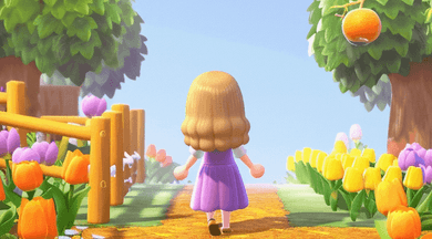 Animal Crossing