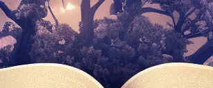 如何恢复你丢失的部落冲突账户