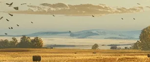 ユニティの採用：PUBGにおけるクロスプラットフォームプレイの影響