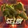 Selby